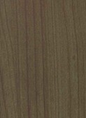 GREEN NATURAL CEDAR v001