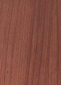 GREY NATURAL CEDAR v001