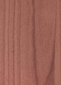 LIGHT AUSTRALIAN CEDAR v001