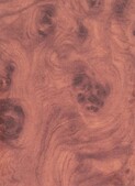 RICH BRIAR v006