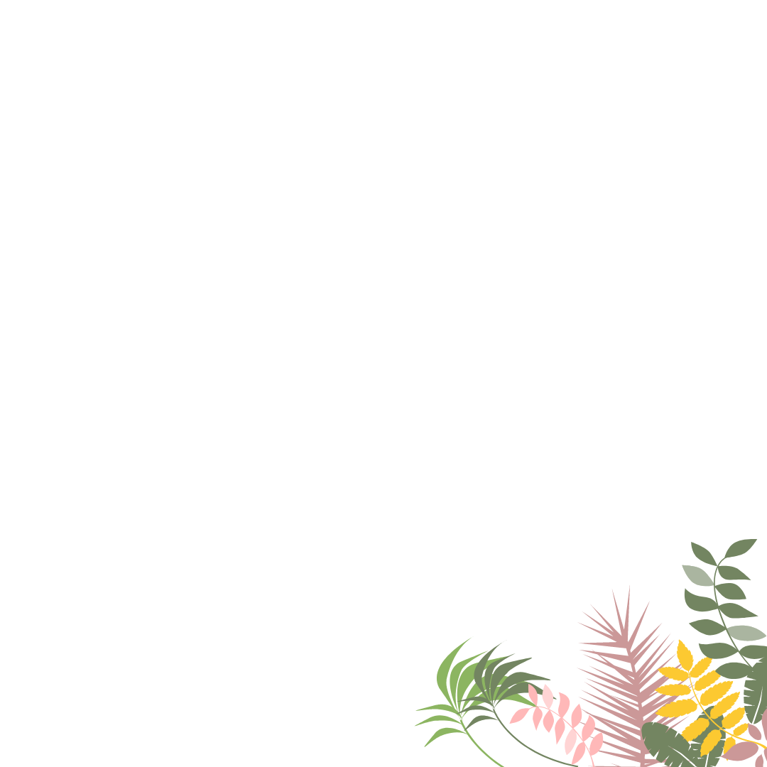 Roots Waffle Cafe Contact