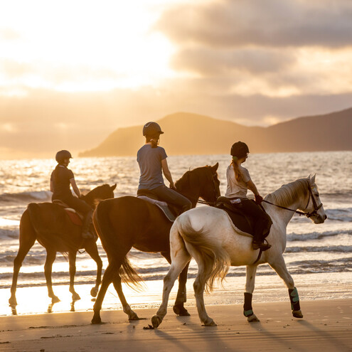 The lifestyle on Kapiti supports health and wellbeing and that's why we have some many holistic and natural health providers who live and work here supporting your wellbeing journey to more balance, harmony and resilience