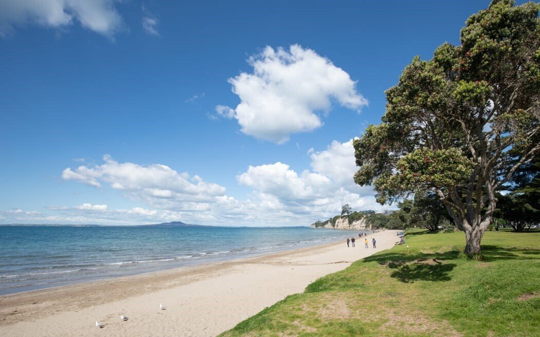 browns-bay-auckland-venue-hire-weddings-birthday-kids-party-byo