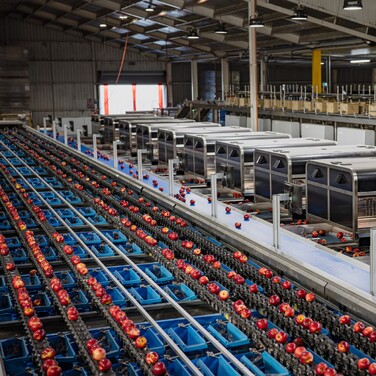 Overcoming packhouse inefficiencies