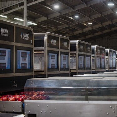 Hawk Technology Tray Inserter Packhouse Solution