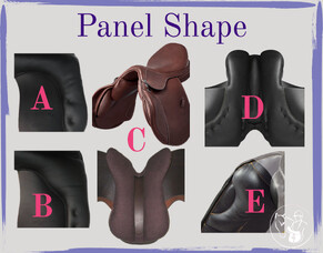 Understanding Saddle Panel Shapes: A Guide for Horse Owners