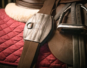 Tapestry Comfort Girth: A Review