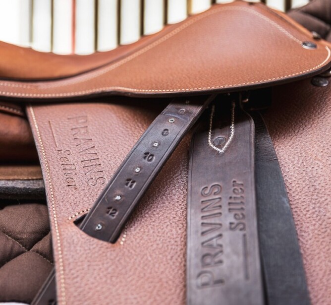 Pravin's Stirrup Leathers