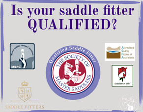 Why do we need Saddle Fitters?