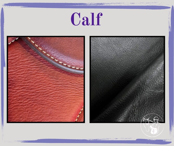 calf saddle leather