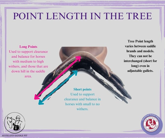 Point length in the tree saddle fit