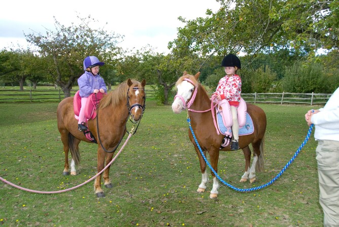 Kids at a pony party taking turns riding with an Inky Dinky Saddle