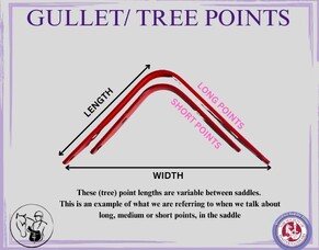 Tree Point Length: Why It Matters for Saddle Fit