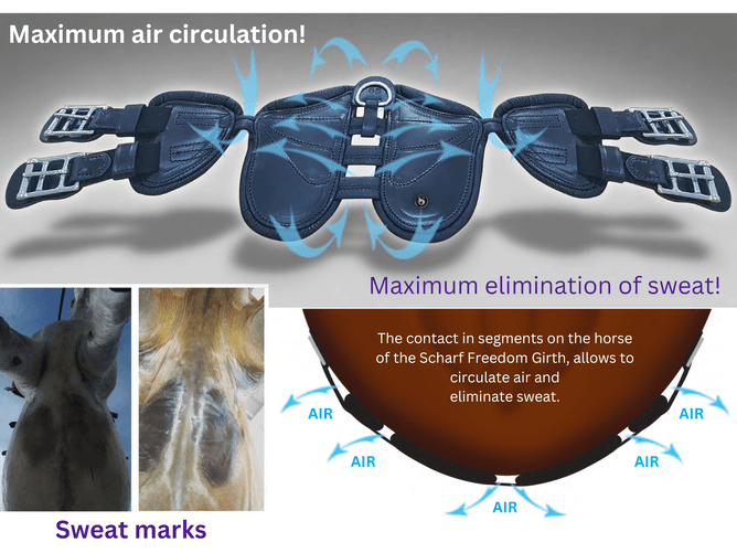 maximum air circulation to the horse with scharf girths
