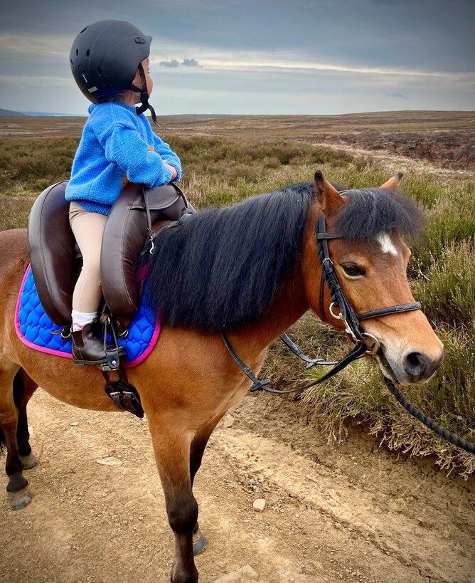 Pony and child in a field using an Inky Dinky Saddle during a riding lesson