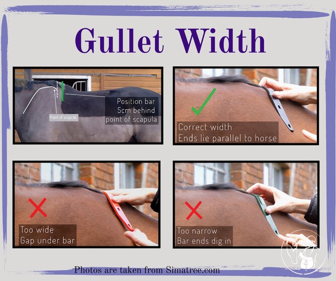 Gullet bar being checked on a horse's back to determine the correct width.
