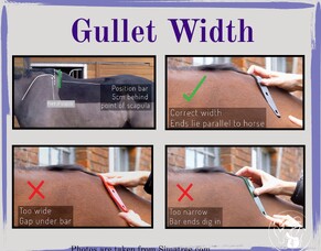 Gullet Widths Explained: The Key to Saddle Fit and Horse Comfort