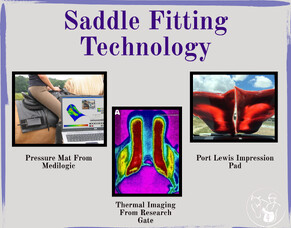 Saddle Fitting Technology