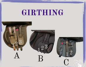 Understanding Girthing: Choosing the Right Girth for Your Horse&rsquo;s Conformation