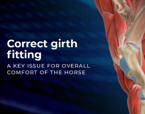 Correct Girth Fitting - A Key Issue for Overall Comfort of the Horse