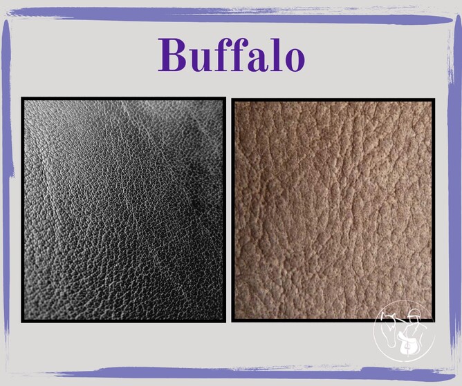 buffalo saddle leather