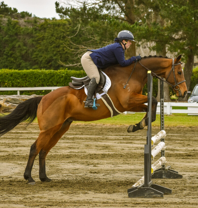 Scarlett Ritchie - Brand sponsor rider for Auckland Saddle Fit