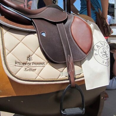 pravins sellier horse saddle and blanket on horse