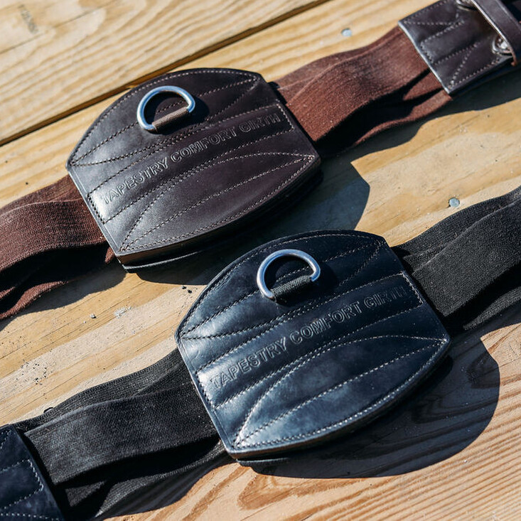 horse standing in workshop for saddle fitting