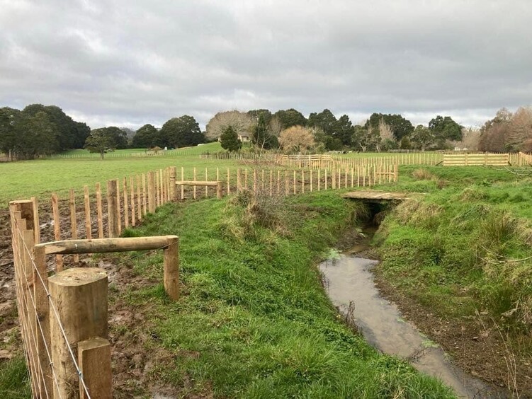 Planning and advising on projects is an important part of our services. As part of our service, we will meet you on site and provide you with guidance and advice regarding your specific project area. We will be able to help you with the right quantity of plants you will need for your project, as well as the most suitable species for the location!