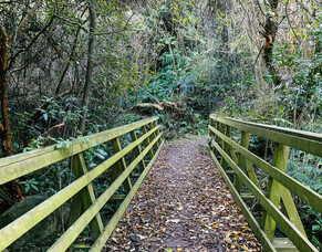 Walking The Whitehorse Big Easy - An Autumn Afternoon Wandering