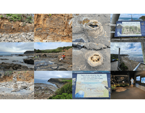 TRIP TO CURIO BAY&rsquo;S FOSSILISED FOREST