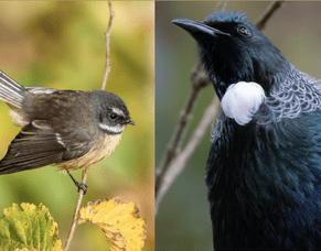 Bio Blitz - Sunday 25th October