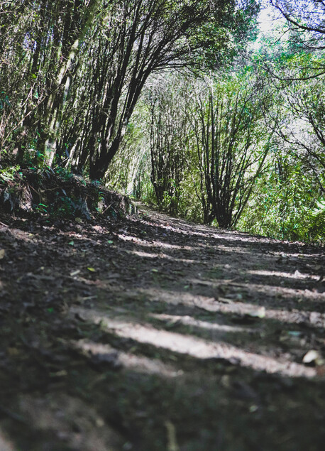 WAYS YOU CAN SUPPORT US