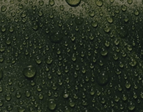 Love or hate it - Humidity