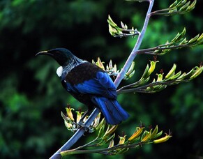 How To Social Media: Brand Awareness