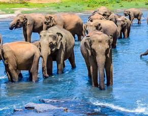 How to Social Media: Increase Brand Loyalty