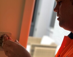 Green Goo on Electrical Wires: What It Is &amp; How to Fix It?