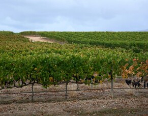 Easter in Hawke&rsquo;s Bay: The Ultimate Guide to Holiday Adventures