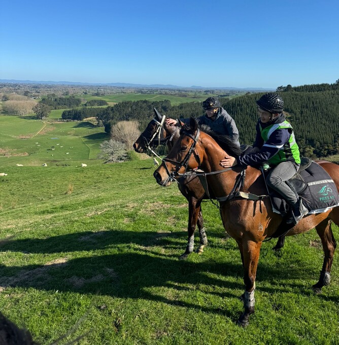 Hill of Kings & Notabadspillane
