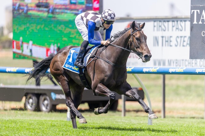 Chur Nibble wins over 1600m