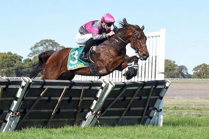 Enchanted Elle winning at Coleraine