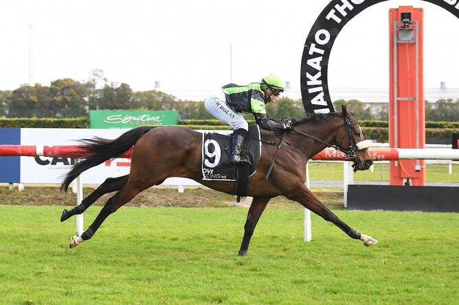 Elen Nicholas on Notabadspillane