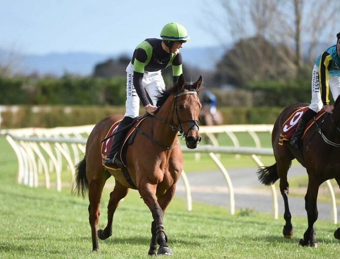Hill of Kings wins at Te Aroha