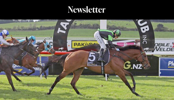 October / November 2025 Newsletter