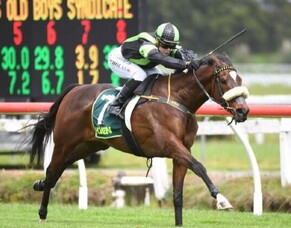 Notabad performance by New Zealand Cup hope