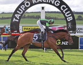 Poverty Bay Cup caps triumphant comeback for Pacheco