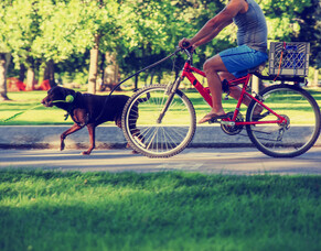 How to wear cycling shorts