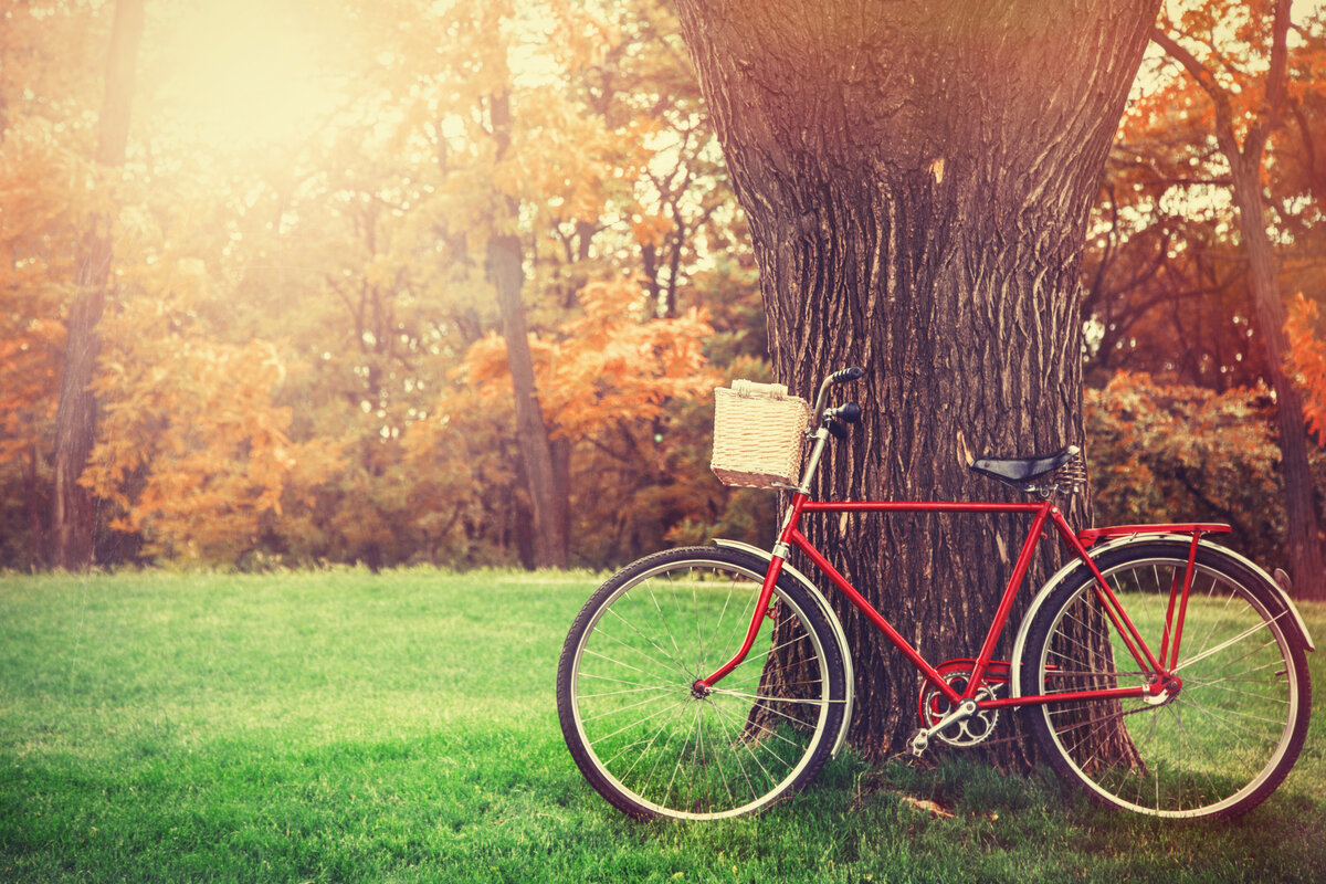 revolution touring bike