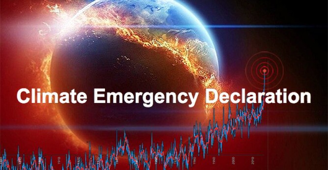 Architects Declare NZ -