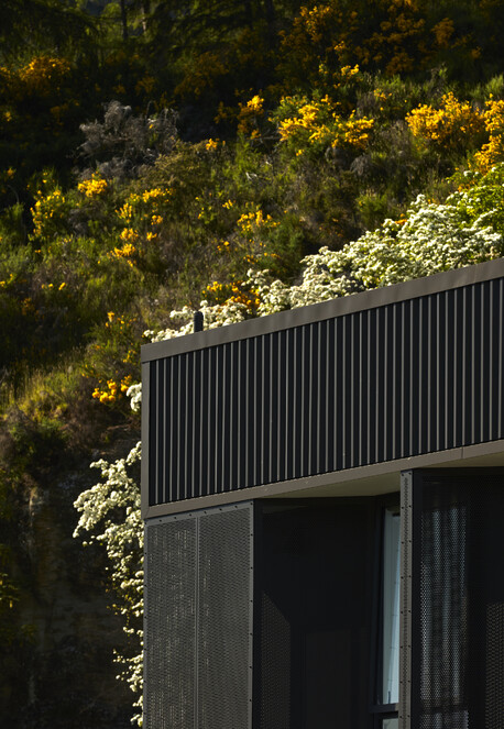 Team Green Architects | Queenstown | Arthurs Point Steel House